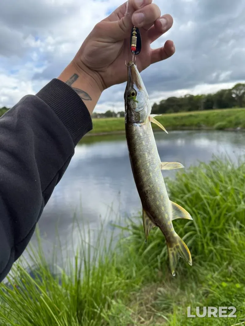 Pike — Ulyanovka, Aug 19, 2025, 2:00 PM