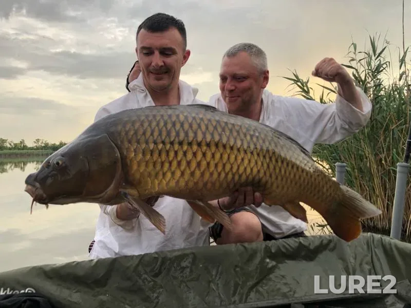 Carp — Sportivno-rybolovnyy vodoyem "Kanevskoy", Jul 25, 2023