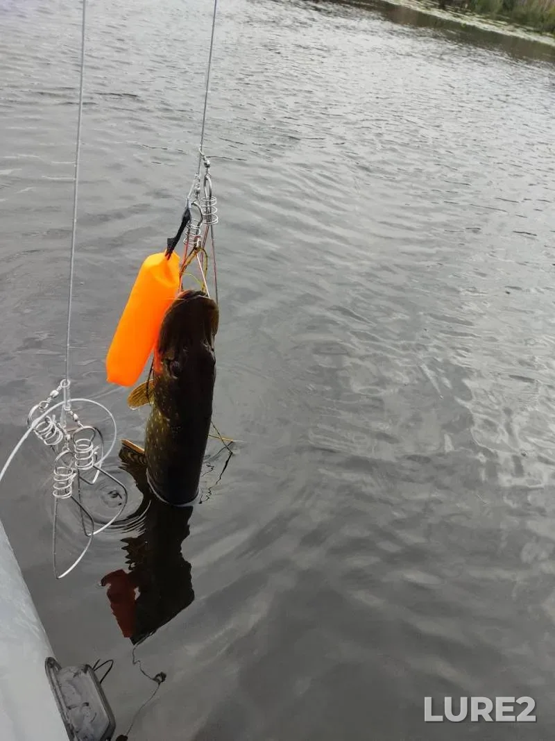 Pike — Boginskoye, Oct 04, 2025, 12:00 PM