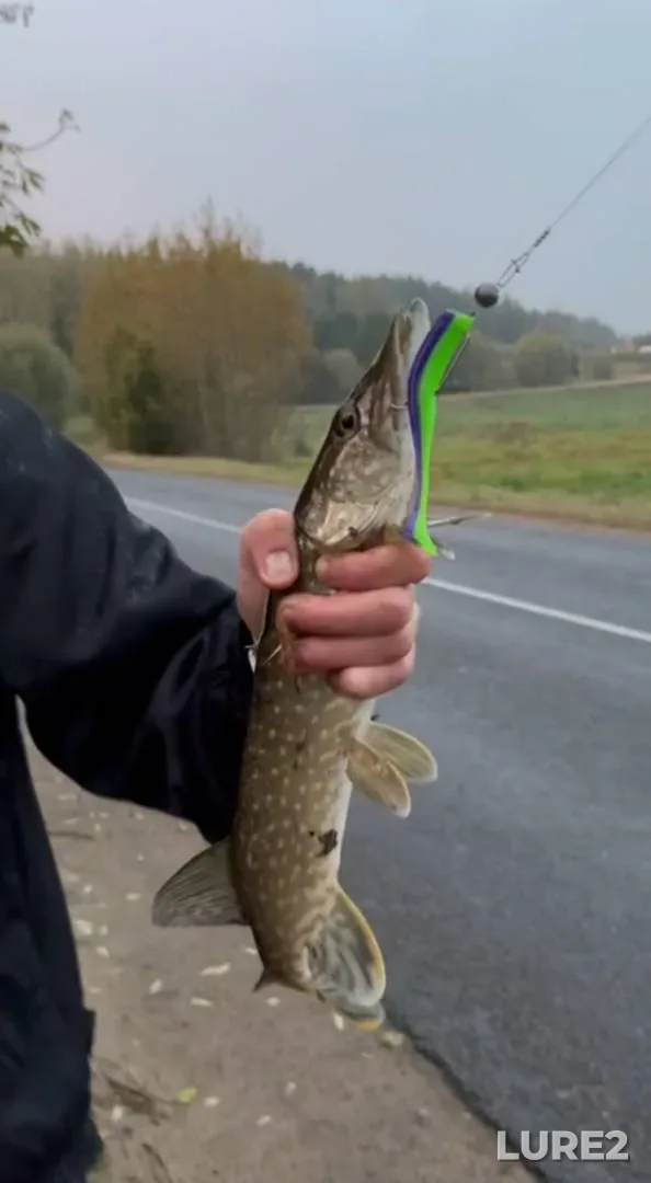 Pike — Domelka, Oct 05, 2025, 6:35 PM