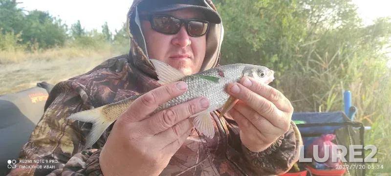 Roach, White bream — Sіverskiy Donets / Severskiy Donets, Jul 21, 2022