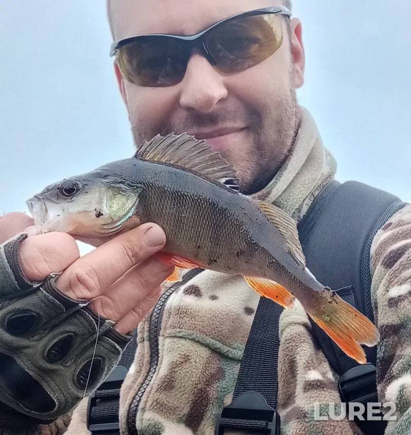 Perch — Svisloch, Sep 05, 2025, 10:16 AM