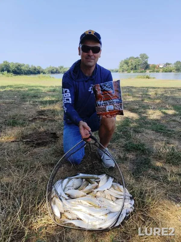 Crucian carp, White bream — Chibiyskiy Magistralnyy kanal, Jul 24, 2024