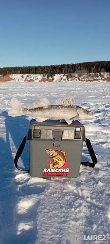 Zander — Nizhnekamskoye, Jan 20, 2023