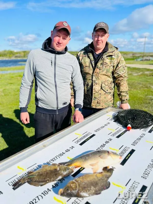 Carp, Crucian carp — Saratovskaya oblast, Voskresenskiy rayon, May 09, 2024