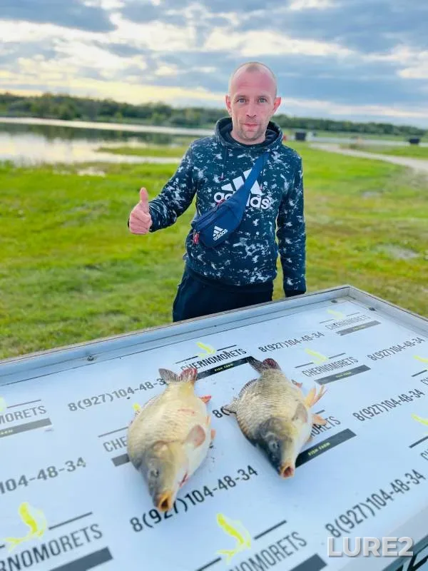 Carp — Saratovskaya oblast, Voskresenskiy rayon, May 15, 2024