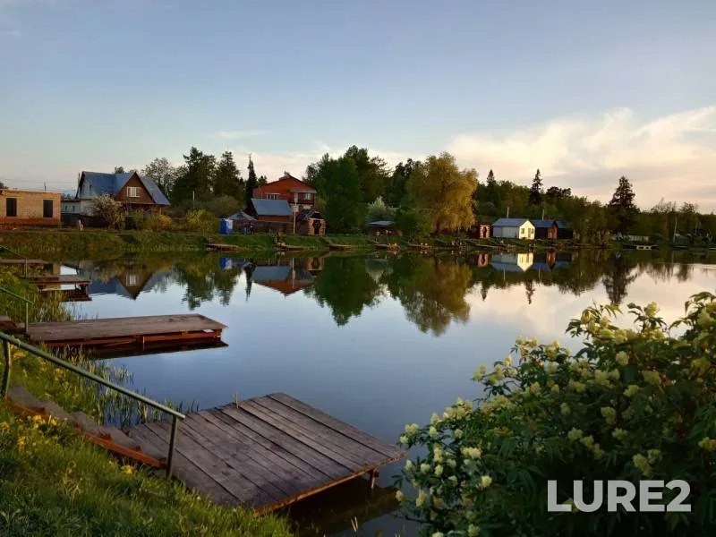 Carp — Lytkinskiy, May 12, 2019
