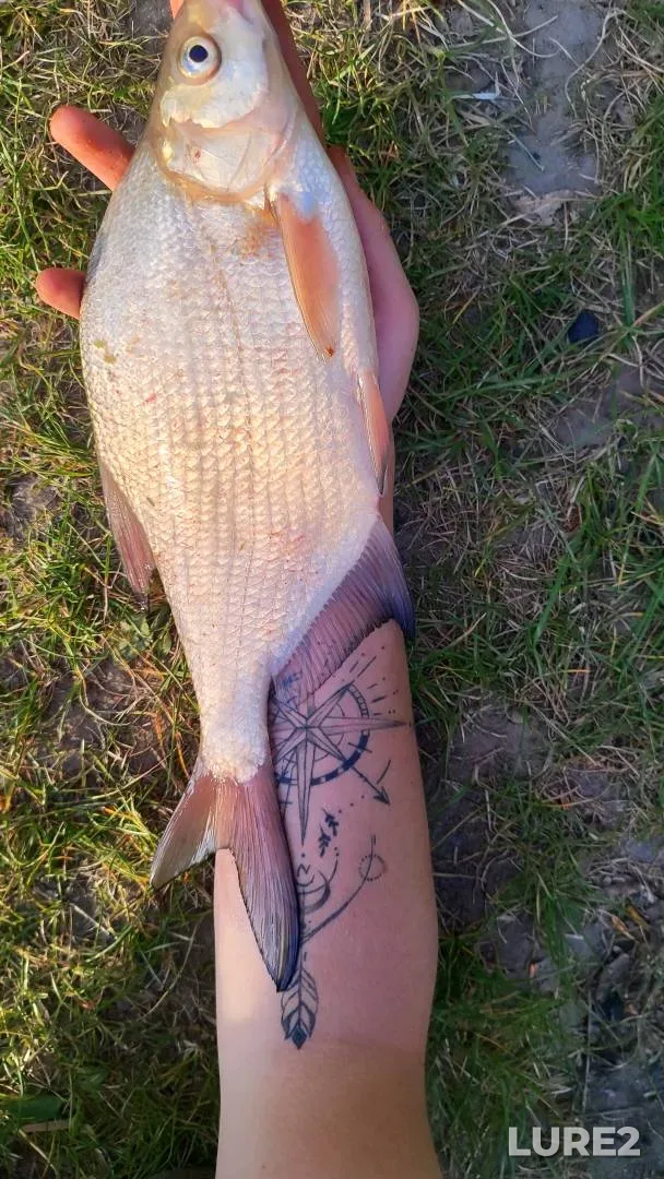 Bream — Vychulki, May 26, 6:08 AM
