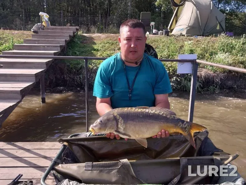 Carp — Bolshaya Kuritsa, Sep 25, 2023