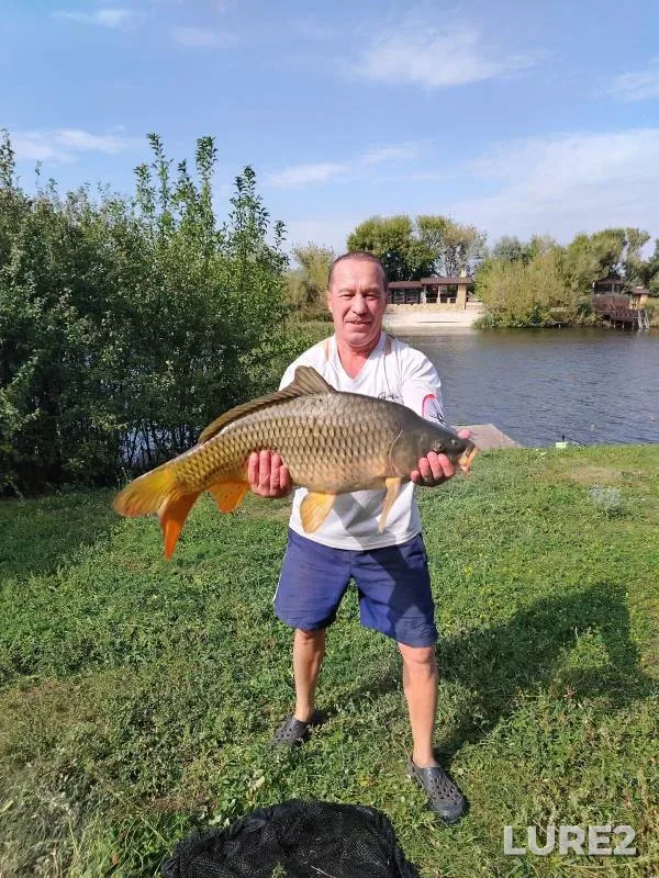 Carp — Mosalskiy, Sep 03, 2024