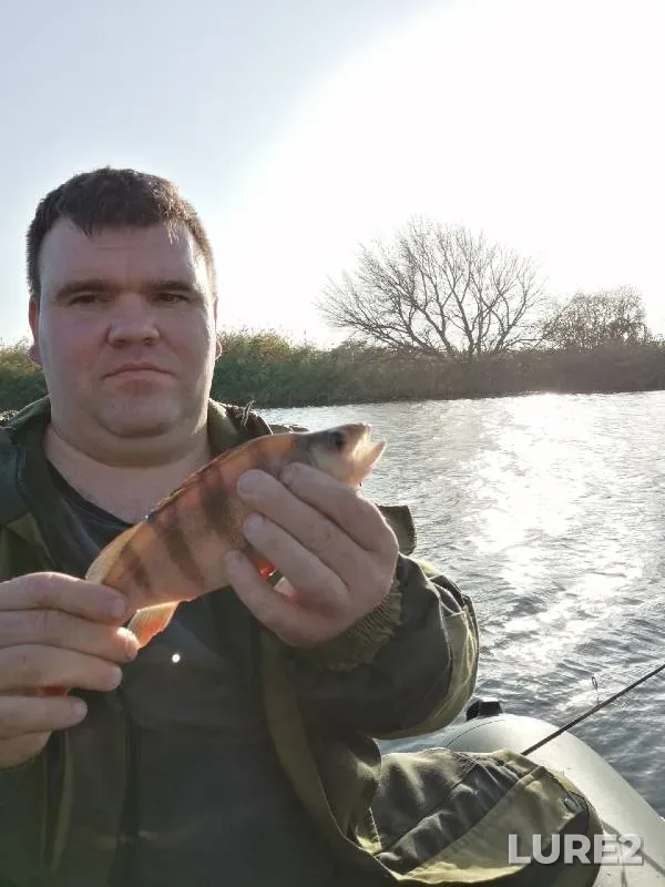 Perch, Pike — Chyornaya Kalitva, Oct 13, 2020