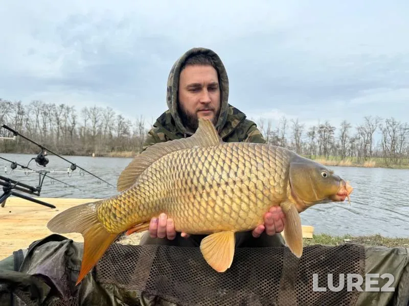 Carp — Kochety, Feb 17, 2024