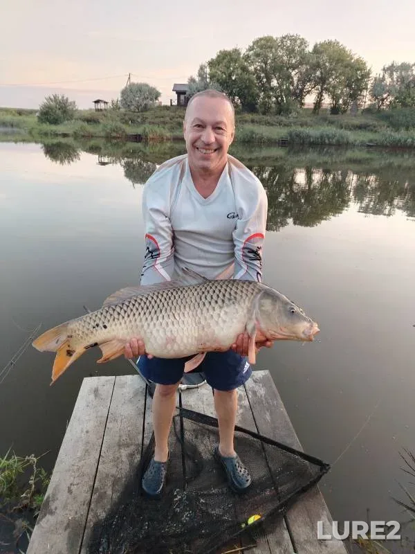 Carp — Mosalskiy, Jul 10, 2024