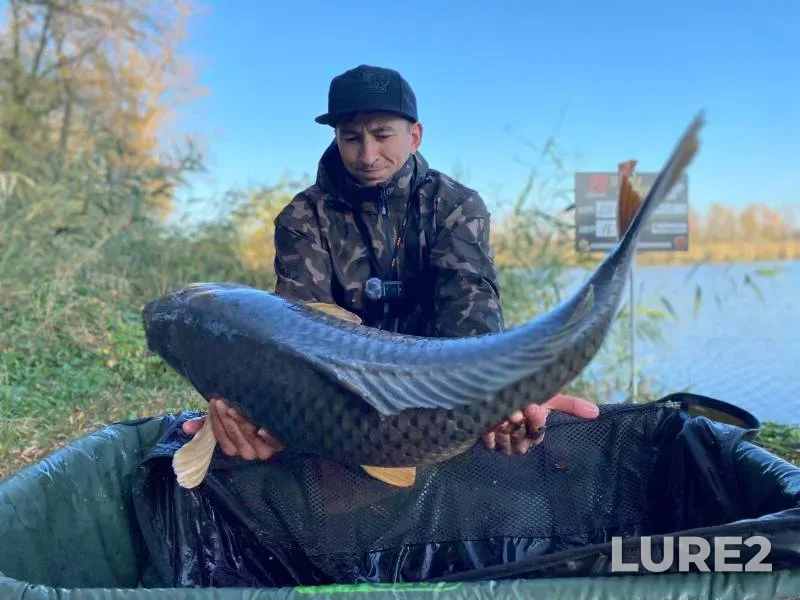 Carp — Kochety, Oct 31, 2023
