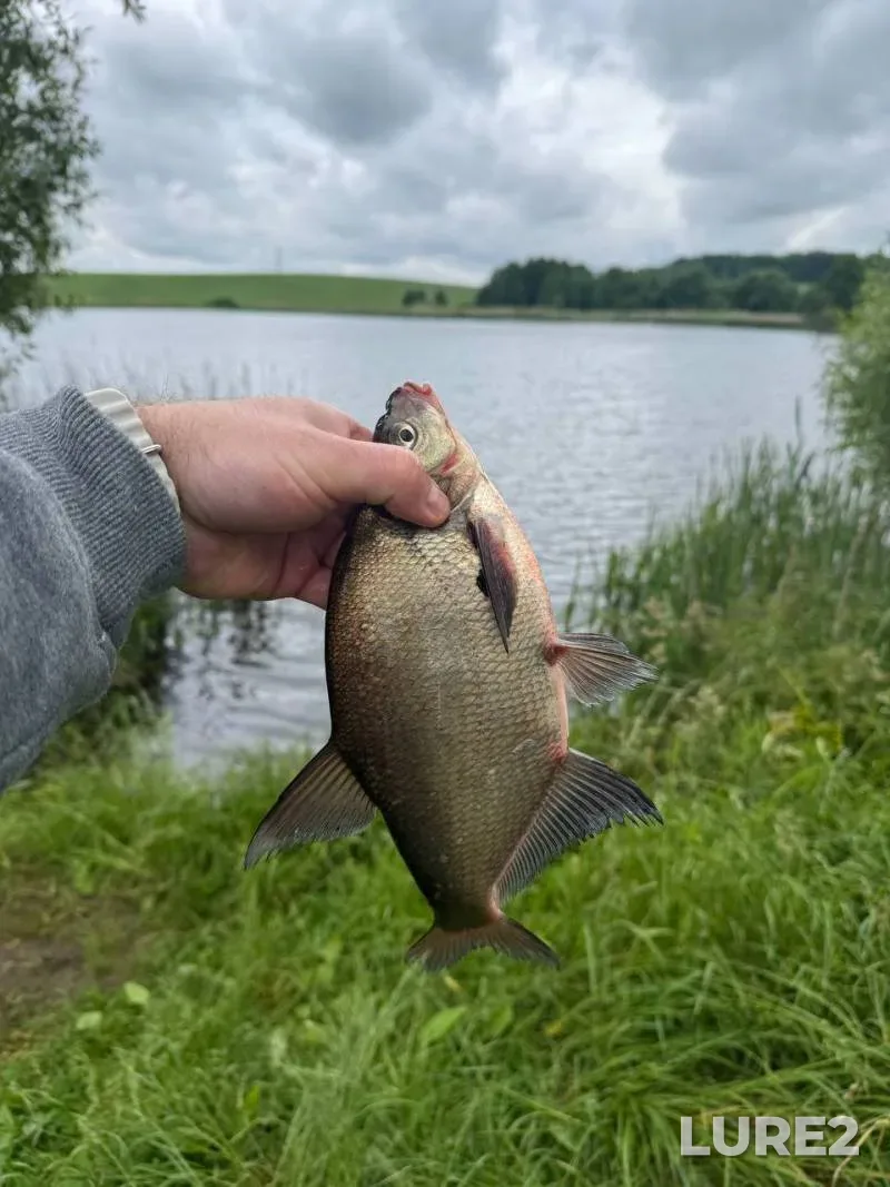 Bream — Chernyavka, Jun 13, 7:00 AM