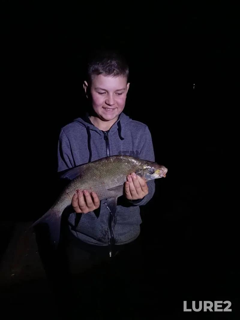 Bream — Drut, Jun 06, 11:39 PM