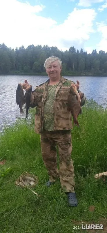 Bream — Mologa, Jul 01, 2024
