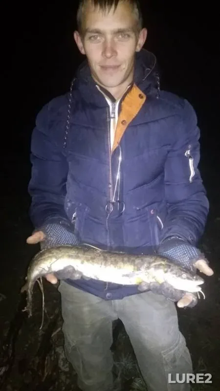 Burbot, Perch — Chusovaya, Sep 25, 2019