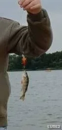 Perch — Zaslavskoye, Jul 12, 10:13 PM