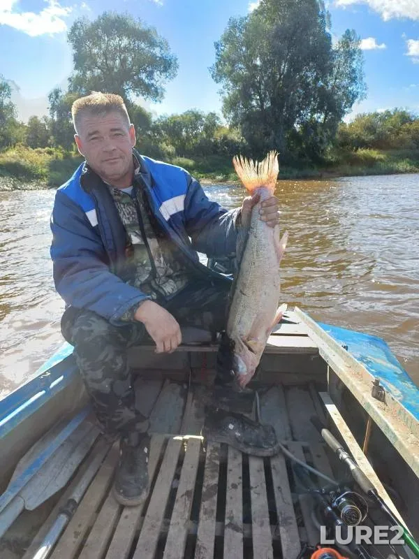 Zander — Siversov kanal, Sep 21, 2024