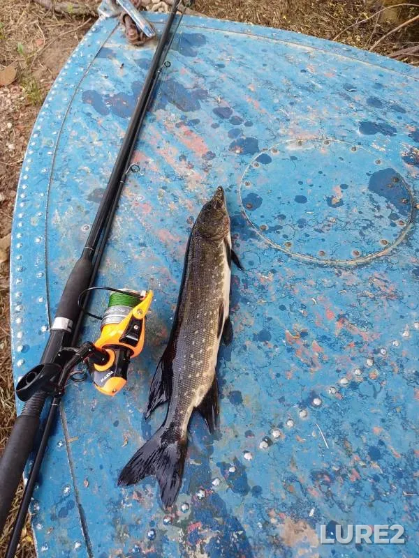 Pike — Donets, May 27, 2024