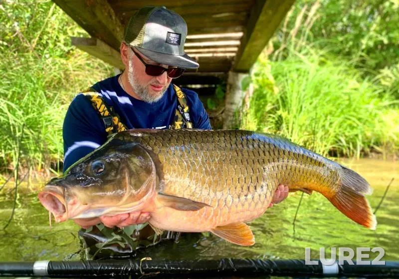 Carp — Boykovo, Jul 22, 2021