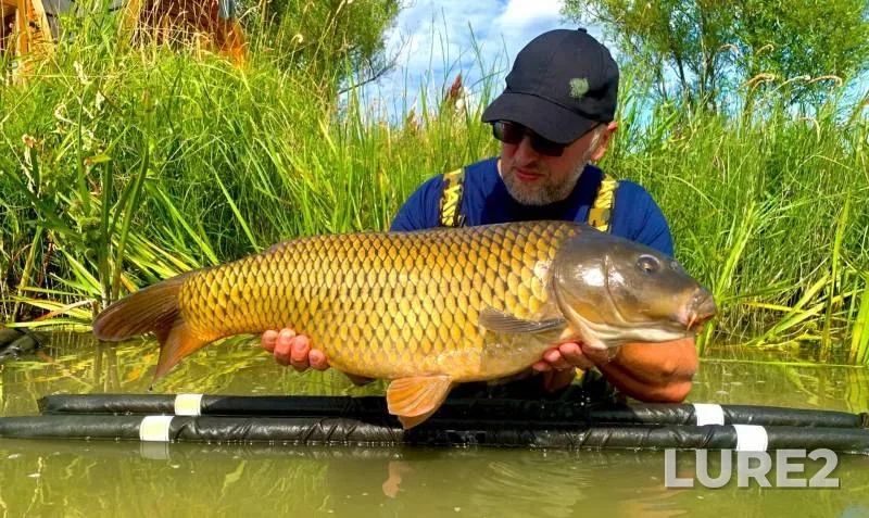 Carp — Kolpyana, Jul 26, 2021