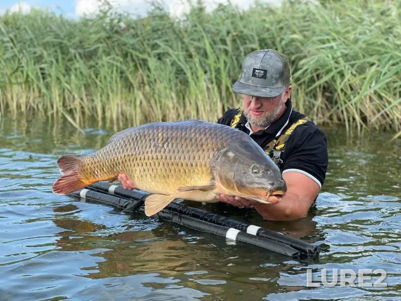 Carp — Boykovo, Aug 04, 2021
