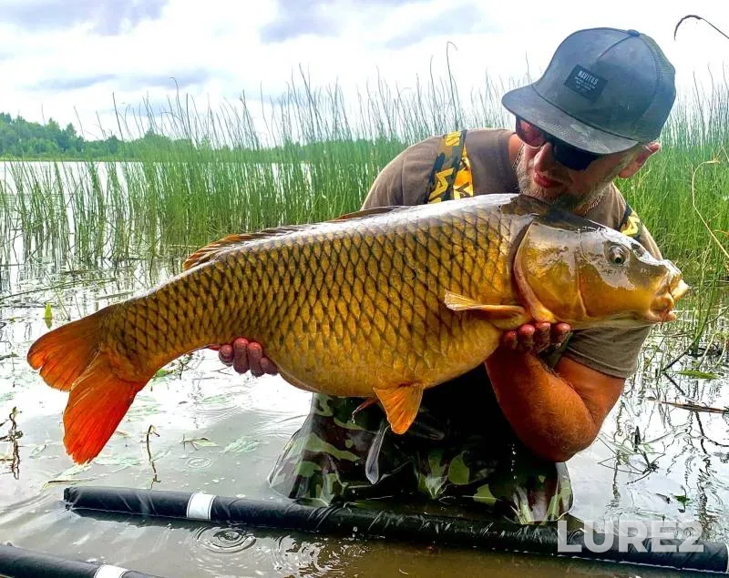 Carp — Boykovo, Aug 12, 2021
