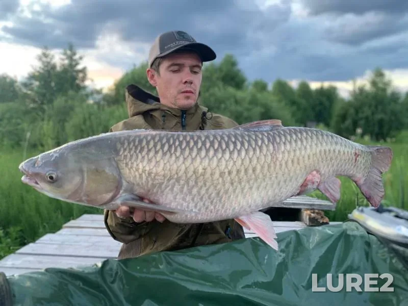 Carp — Boykovo, Jul 16, 2022