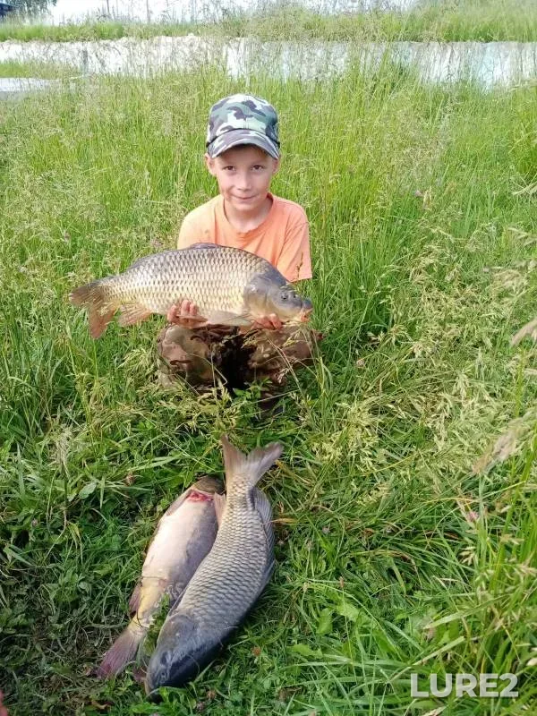 Carp — U Vasilicha, Jun 15, 2024