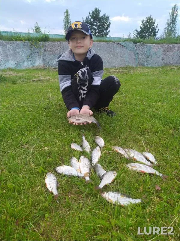 Crucian carp, Roach — U Vasilicha, Jun 16, 2024