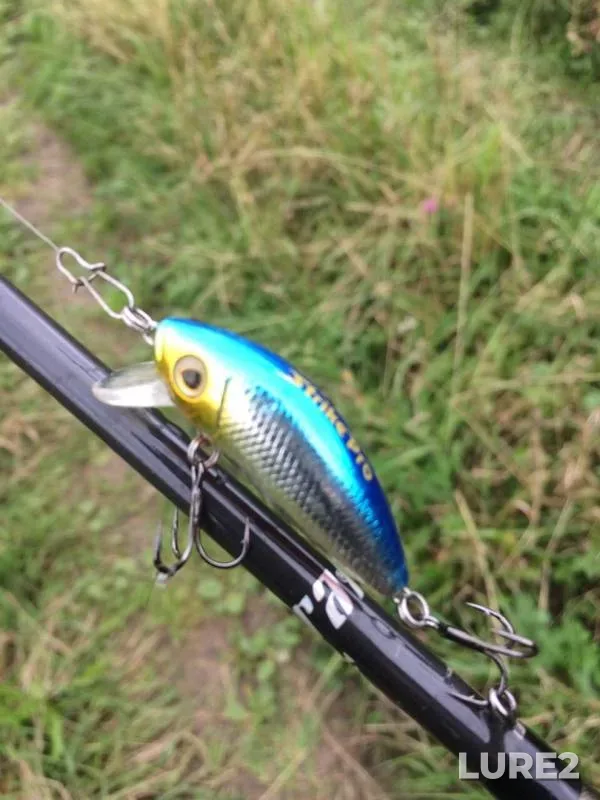 Perch, Pike — Chusovaya, Aug 26, 2019