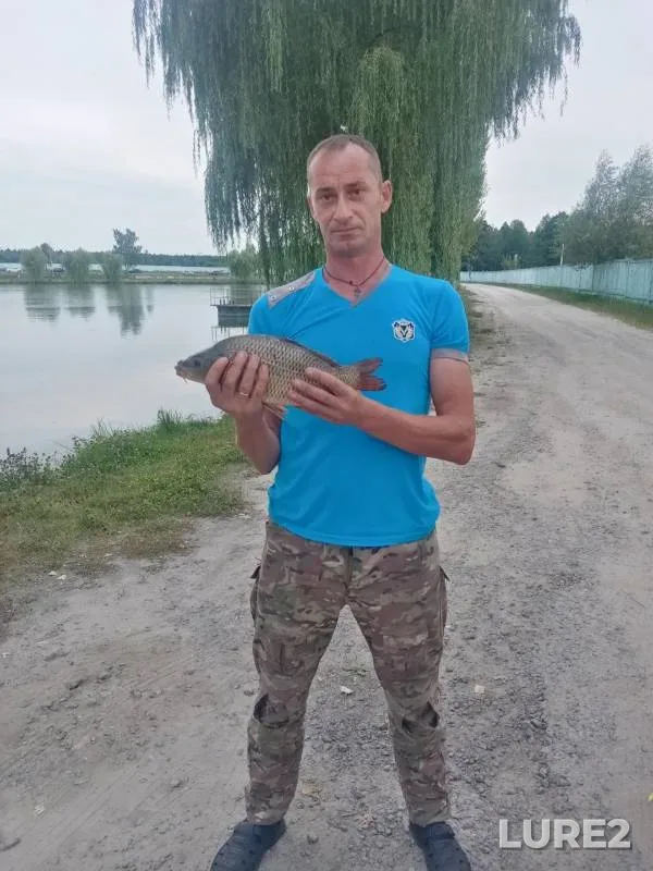 Carp — Bryanskaya oblast, Jul 28, 2024