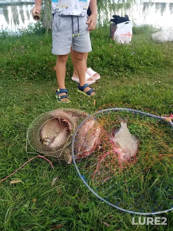Bream — U Vasilicha, Jul 26, 2024