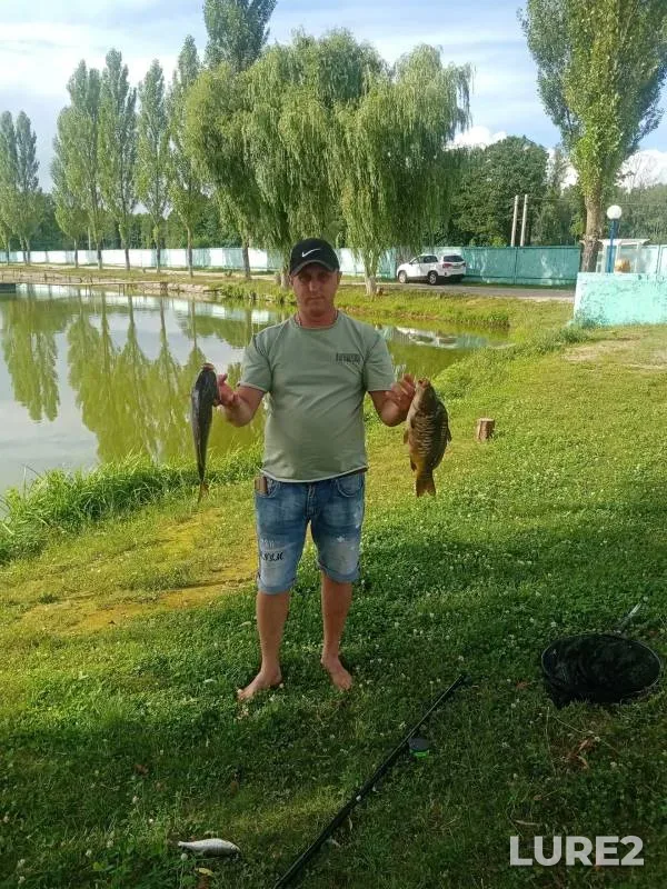 Carp — U Vasilicha, Jul 20, 2024