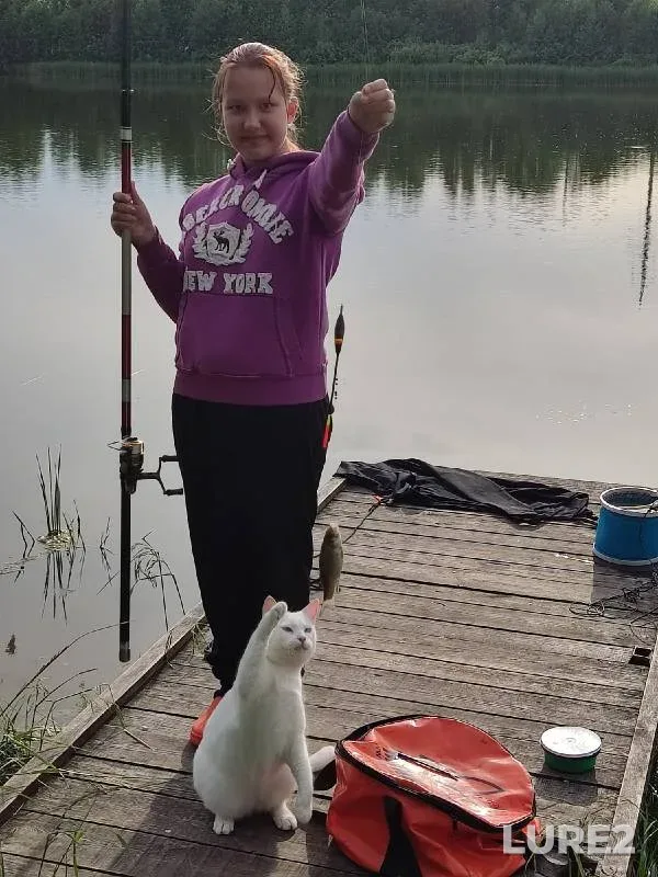 Crucian carp — Darkovskoye, Jun 17, 2022