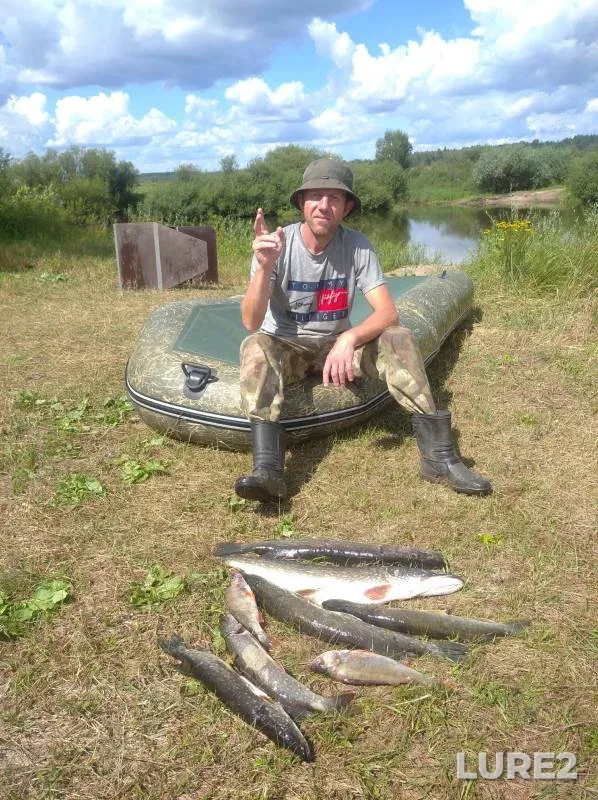 Perch, Pike — Desna, Aug 02, 2024