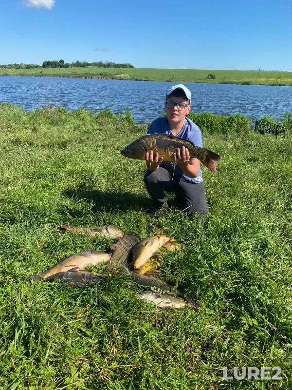 Carp — Orlovskaya oblast, Jun 27, 2024