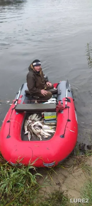 Perch, Pike — Desna, Oct 05, 2024