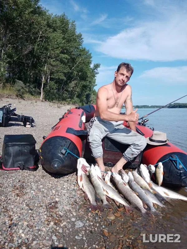 Perch, Pike — Ob, Aug 14, 2024