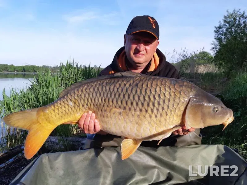 Carp — Golodyayevskiy, Jun 07, 2022