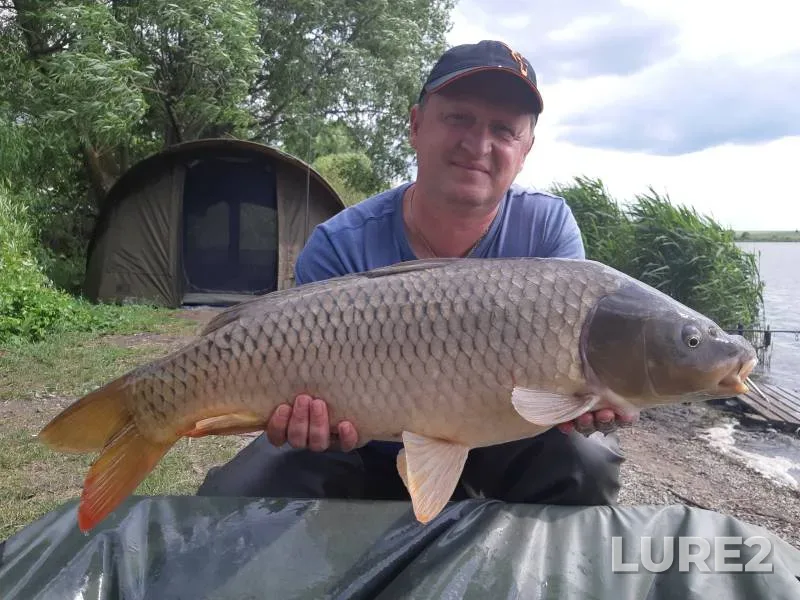 Carp — Golodyayevskiy, Jun 21, 2022