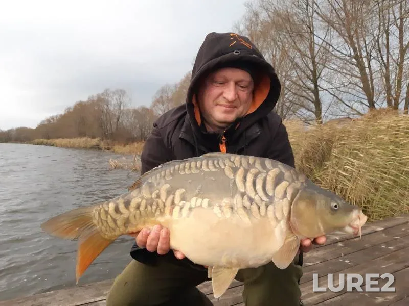 Carp — Golodyayevskiy, Nov 07, 2023