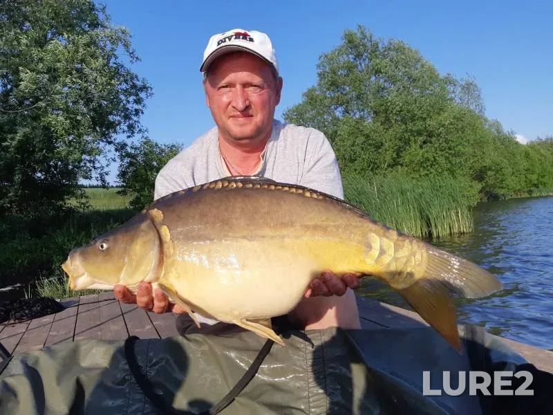 Carp — Golodyayevskiy, Jun 13, 2023