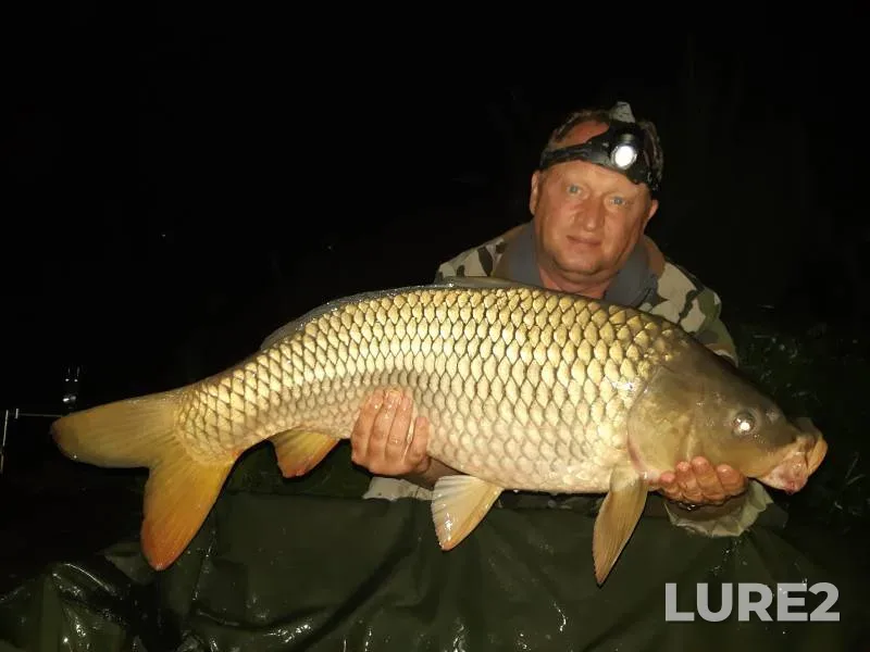 Carp — Golodyayevskiy, Aug 02, 2022