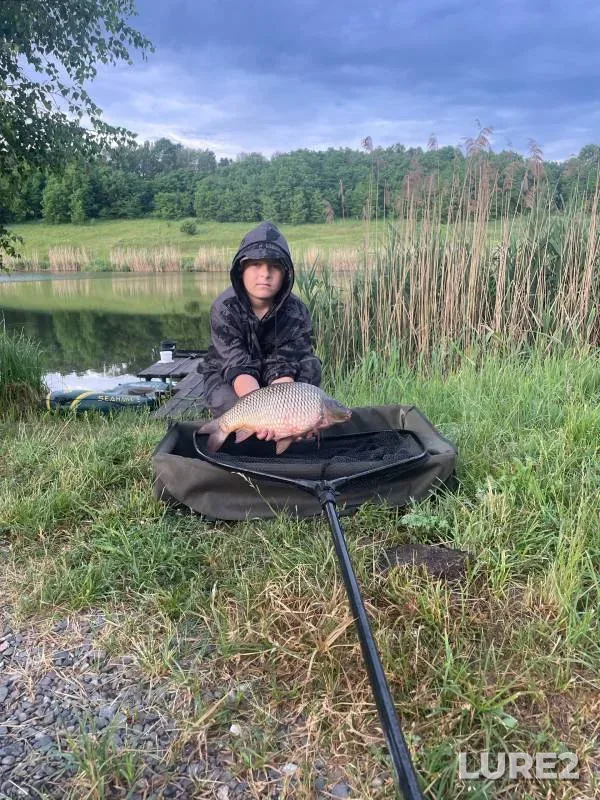Carp — Belgorodskaya oblast, Jun 16, 2024