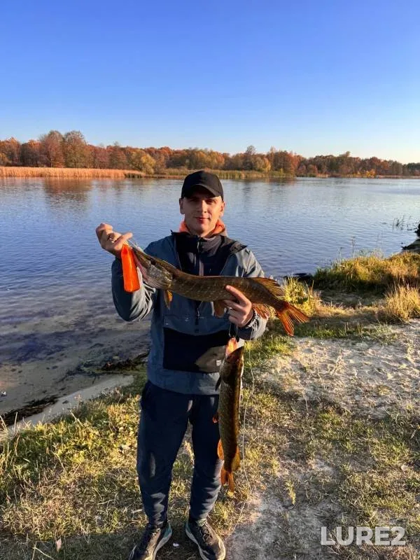 Pike — Voronezh, Oct 28, 2024