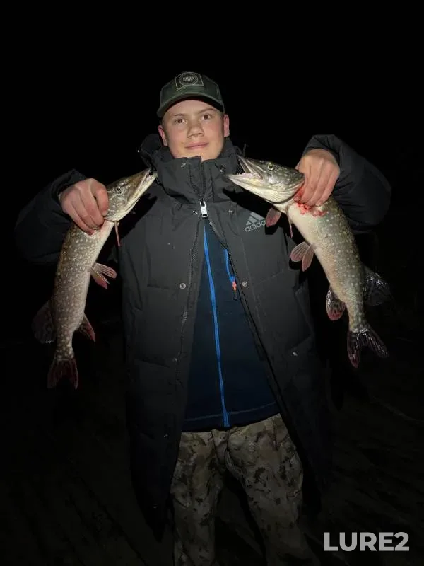 Pike, Zander — Belgorodskaya oblast, Oct 31, 2024