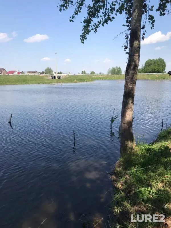 Crucian carp, Perch — Altayskiy kray, May 14, 2020